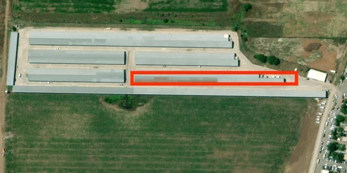 incendiu dragonul rosu localizat jpg