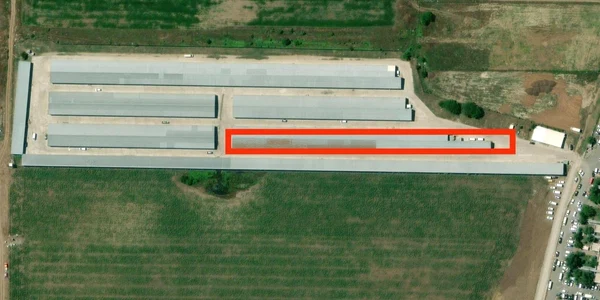 incendiu dragonul rosu localizat jpg