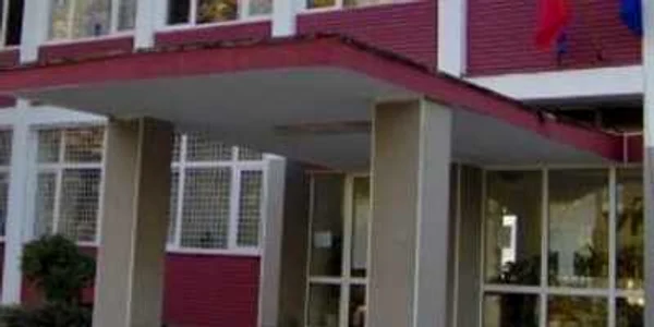 Arad: O şcoală va fi închisă/ virusul noi  gripe a fost confirmat pentru 19 elevi