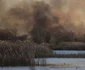 Incendiu Delta Văcăreşti / FOTO Inquam Photos / Octav Ganea / 24 feb 2020