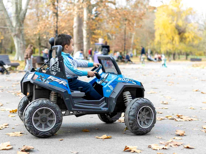 pexels borishamer 19364596 jpg