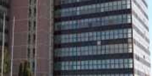 Birourile, fără chiriaşi