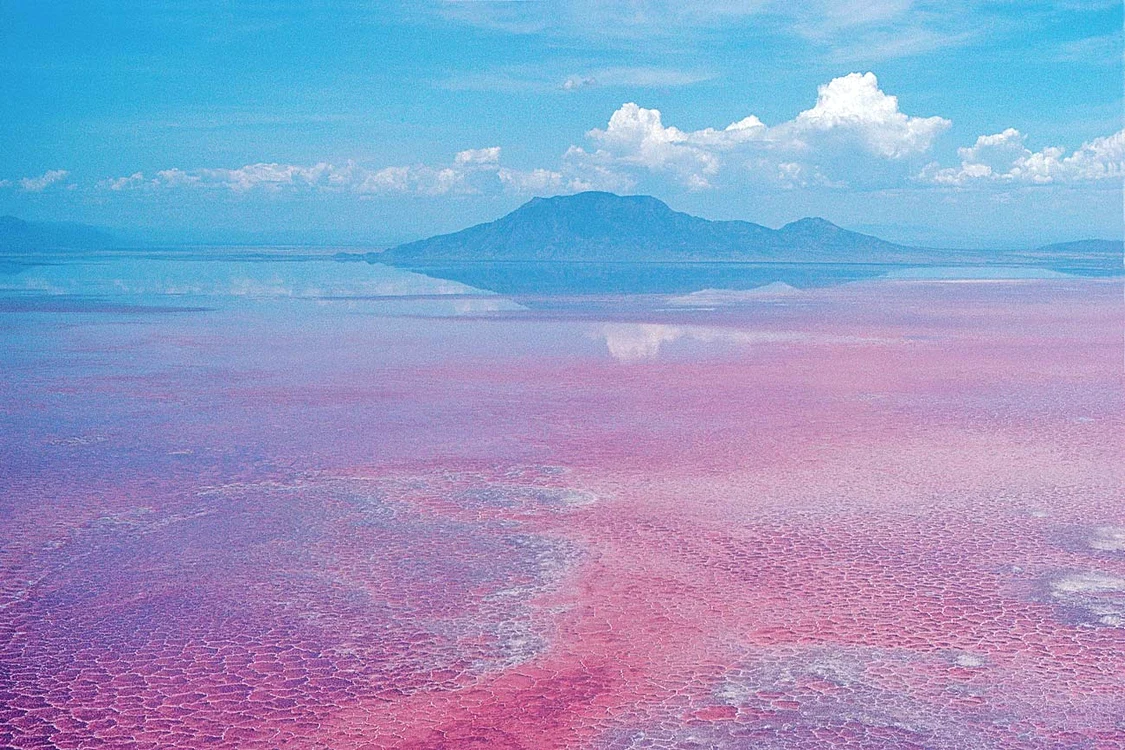 Lacul Natron, din Tanzania, o ciudăţenie mortală a naturii