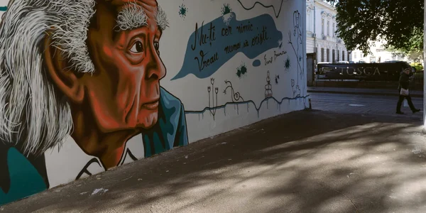 Pasaj Emil Brumaru FOTO Primaria Iasi png