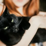 pisica, foto Shutterstock jpg