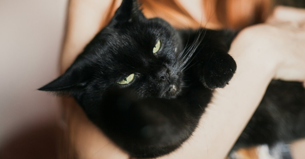 „Nu credeam că se va întâmpla acest lucru”