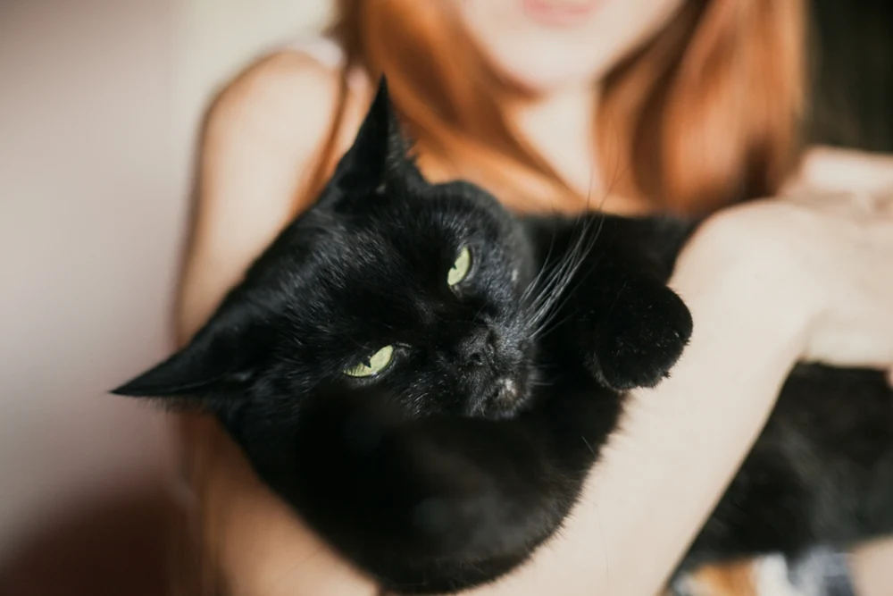 Un cuplu și-a găsit pisica îngropată de vie în grădina vecinului