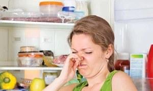 mancarecraciunfrigider jpeg