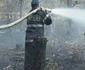 incendiu padure