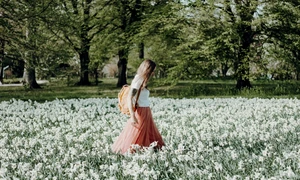 nadine rupprecht lRmT2rB0O94 unsplash jpg