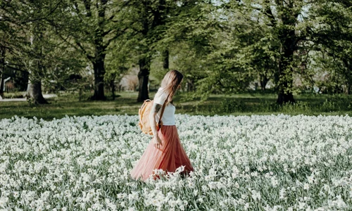 nadine rupprecht lRmT2rB0O94 unsplash jpg