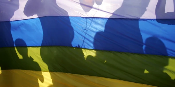Steagul minorităţilor sexuale