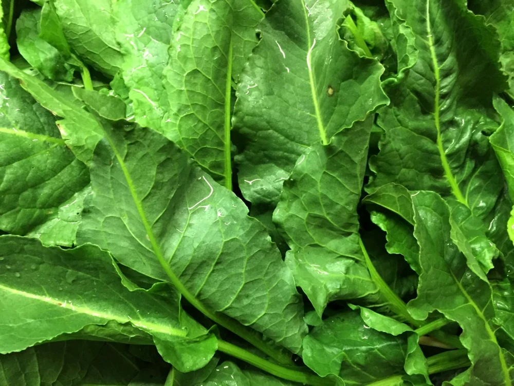 Ştevia curăţă organismul de toxine FOTO gastropedia.ro