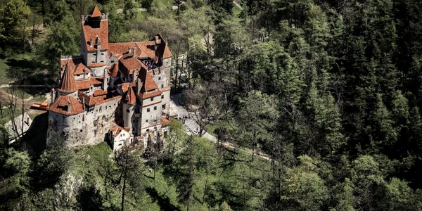 Castelul Bran Foto Destinația anului jpg