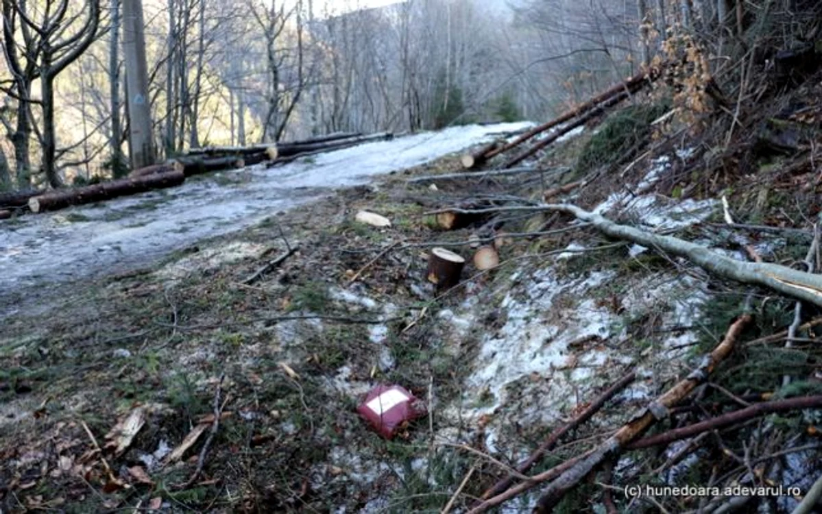 Drumurile ar urma să accesibilizeze suprafeţe forestiere din zona comunei Avram Iancu