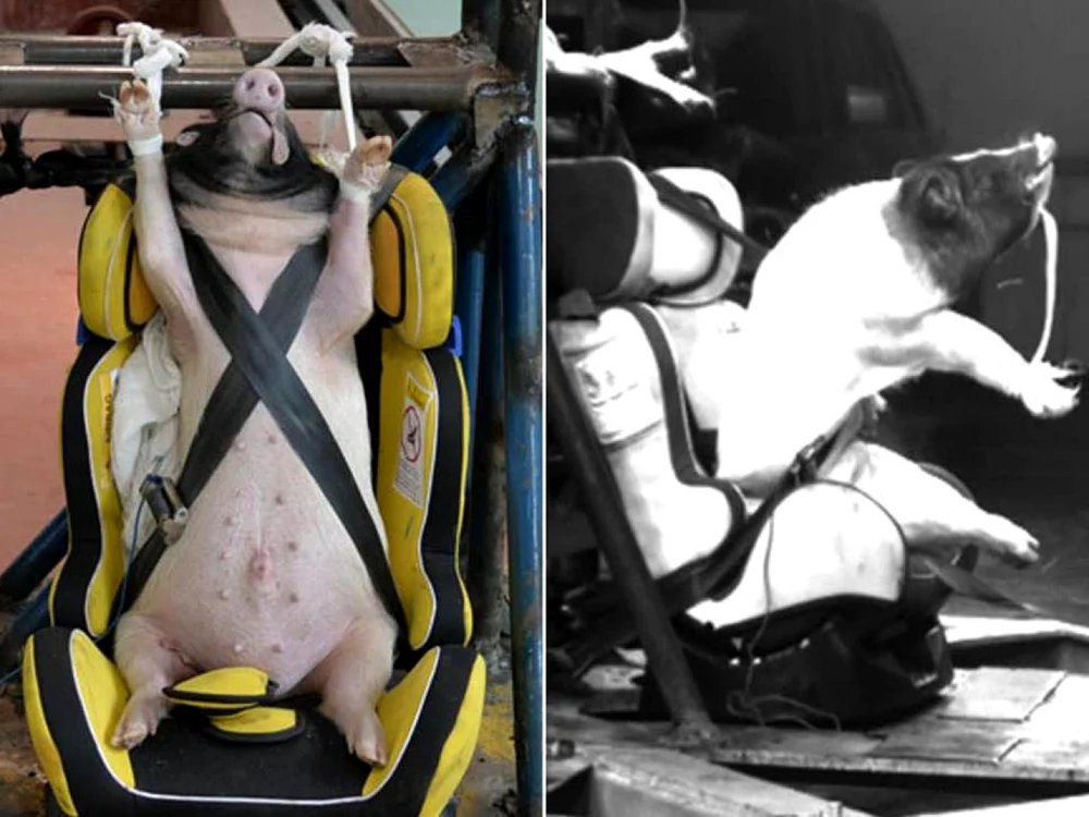 FOTO  Qiaolin Wang, Hongyi Xiang, Sishu Guan, et al/International Journal of Crashworthiness