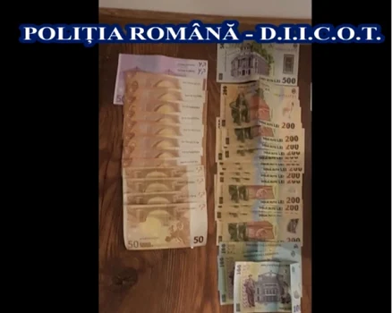 Valuta confiscată de la o reţea de hackeri români care a prejudiciat 125 de nemţi cu 600.000 de euro Foto Poliţia Română