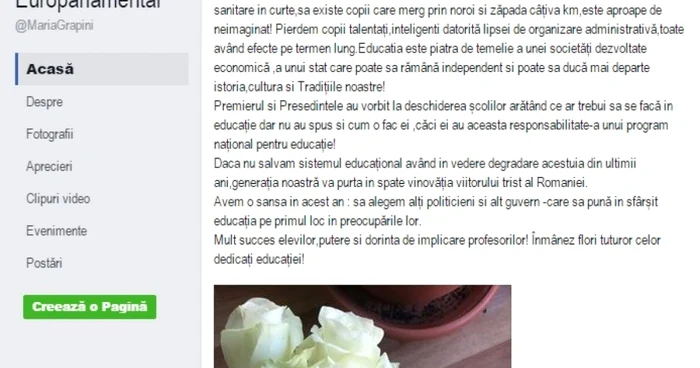 Maria Grapini mesaj FOTO Facebook Maria Grapini
