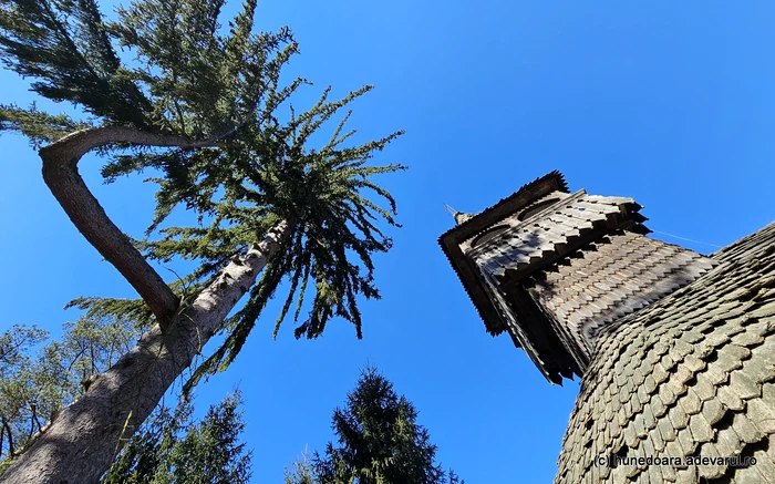 Biserica din Dănulești. Foto: Daniel Guță. ADEVĂRUL