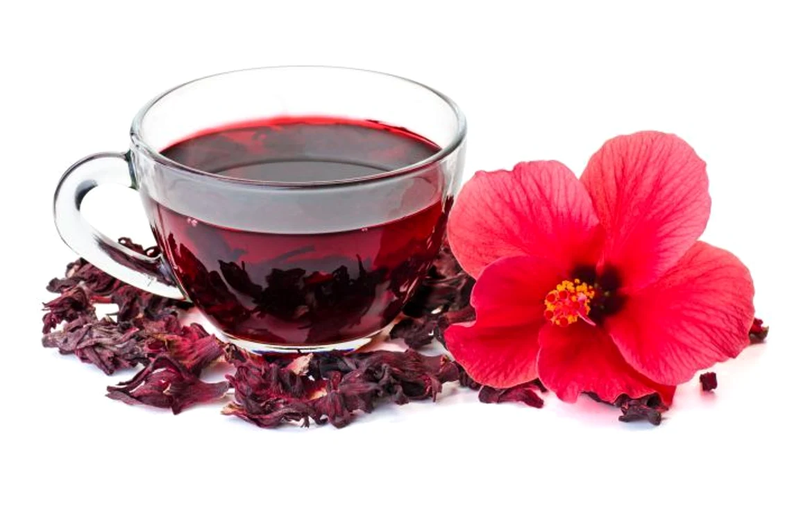 1 hibiscus jpg jpeg