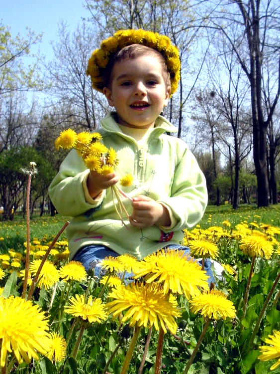 
    Vremea va fi frumoasă în zilele următoare  