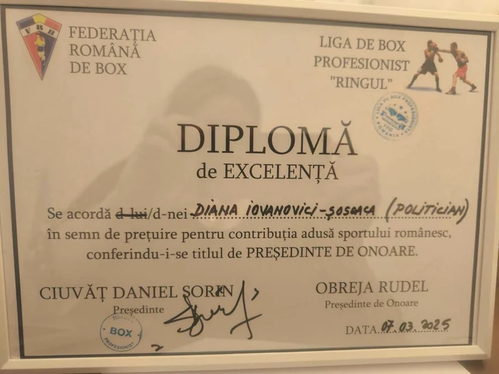 Șoșoacă este de fapt „președinte de onoare” al Ligii de Box Profesionist Ringul Foto: Facebook