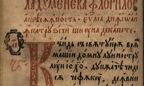 Ziua Culturii la Muzeul Naţional de Istorie a României jpeg