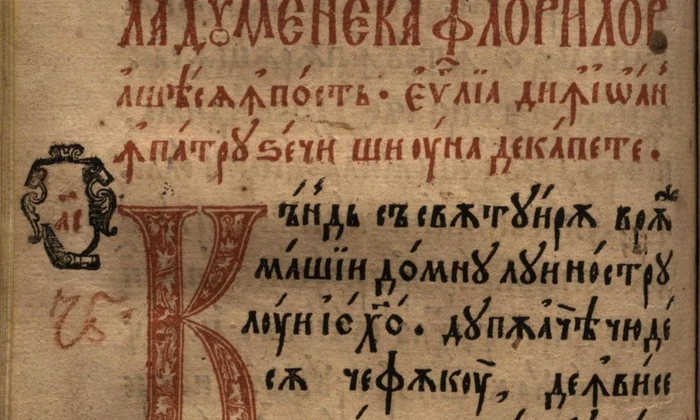 Ziua Culturii la Muzeul Naţional de Istorie a României jpeg