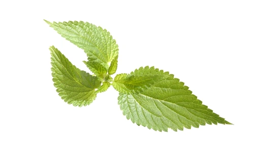 1 73523 original jpg jpeg