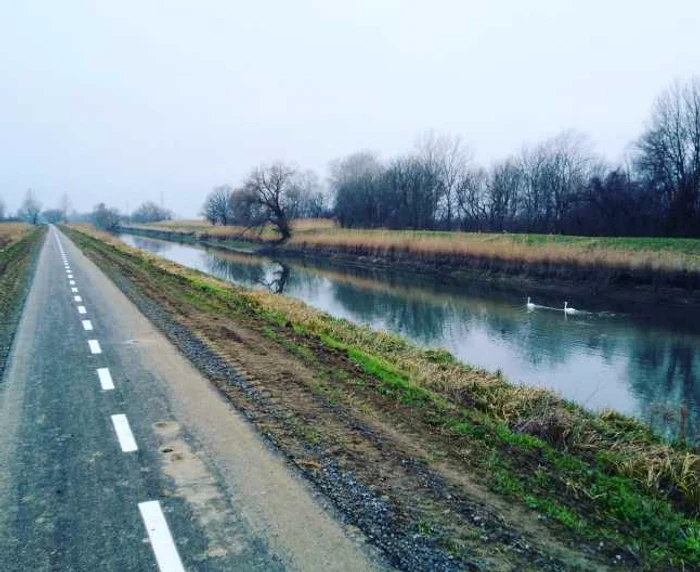 Pista de bicicletă care leagă Timişoara de Zrenjanin FOTO Biciklistička staza Zrenjanin - Temisvar