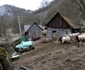 Cheile Cibului Foto Daniel Guță ADEVĂRUL (81) JPG