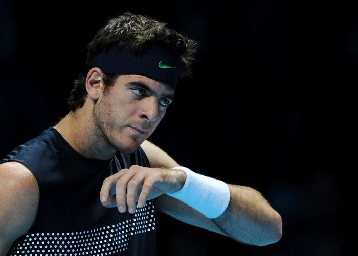 
    Juan Martin Del Potro  