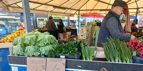 WhatsApp Image 2023 03 13 at 17 16 35 jpeg