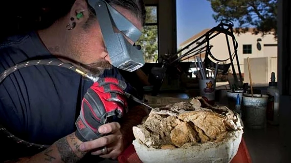 Peste 1500 de fosile, vechi de 1,4 milioane de ani, găsite într o gropă din California VIDEO jpeg