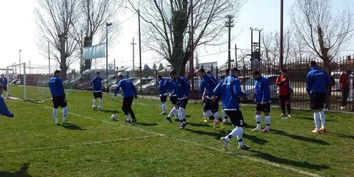 avicola tartasesti