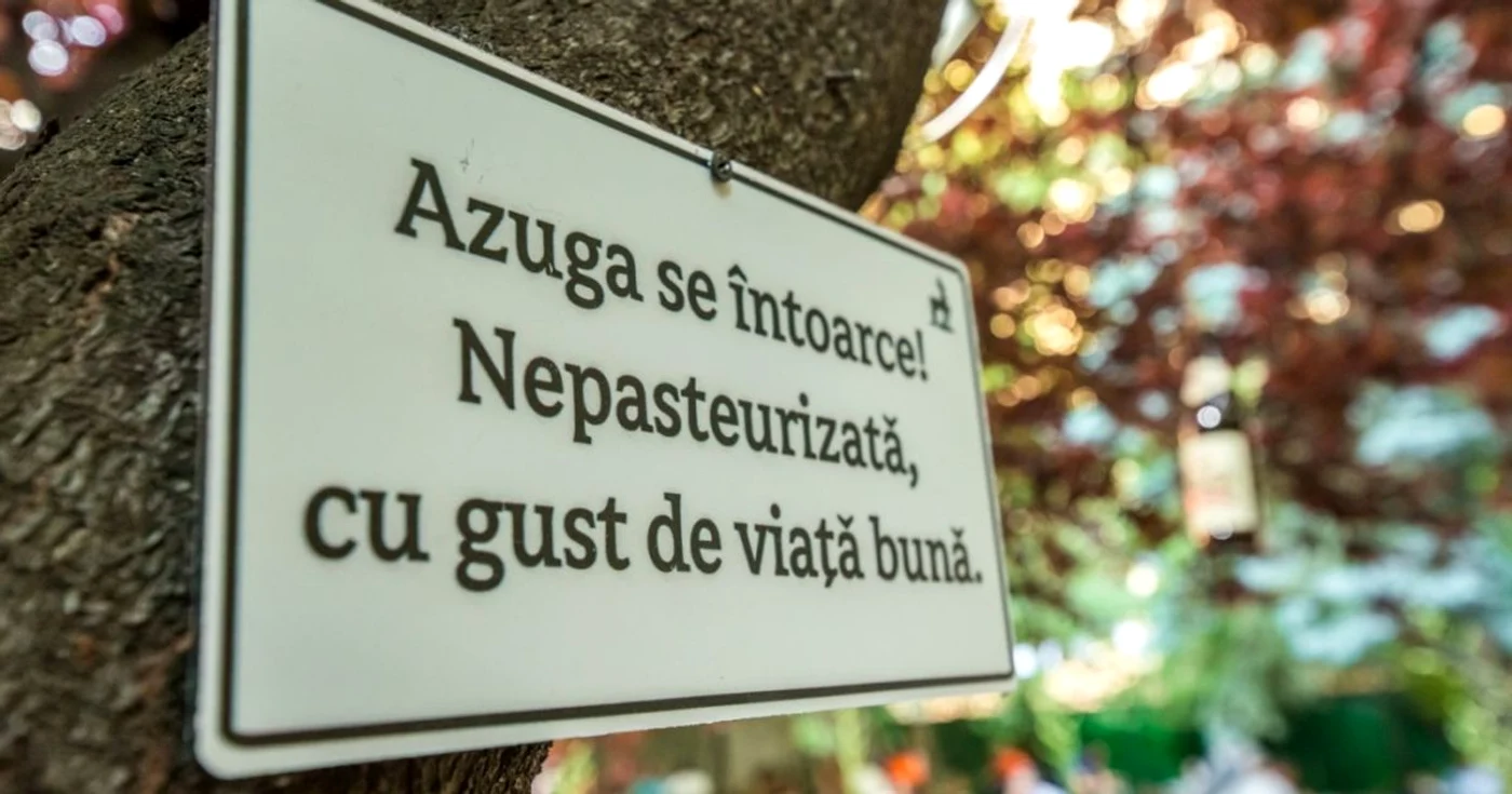 azuga bere
