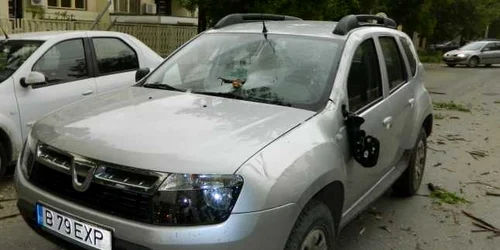 Şoferul Dusterului era la volan când crengile i-au străpuns parbrizul