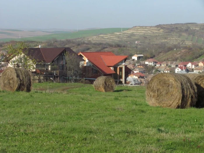 paie cluj