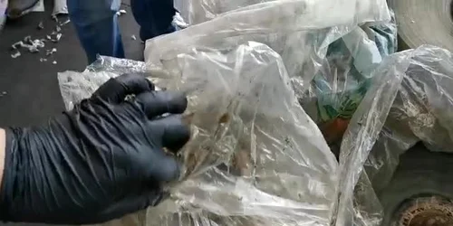 610134f95163ec42718706c6 jpg