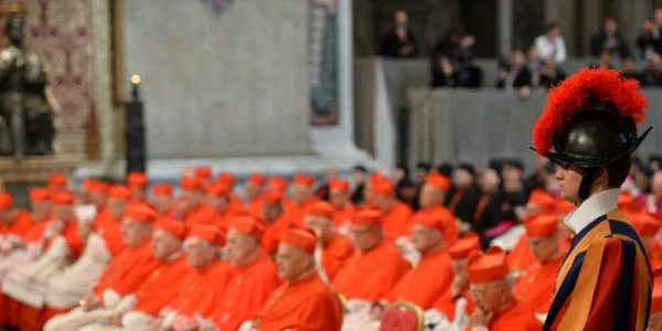 cardinali foto afp