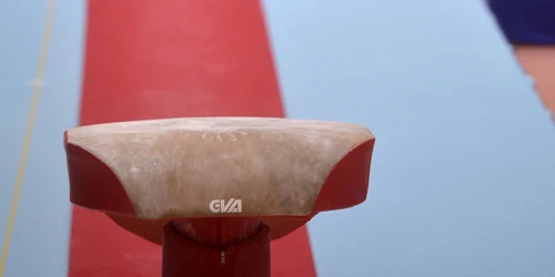 Federatia Romana de Gimnastica reactioneaza dupa ancheta ProSport in cazul sportivului torturat de colegii sai Explicatii incredibile despre motivul real al scandalului jpg