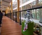 robotul poppy imprimanta 3d