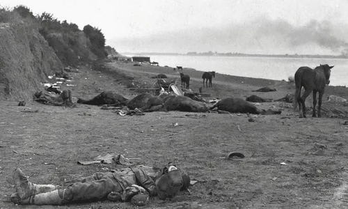 A fost Turtucaia un dezastru deosebit în Marele Război? png