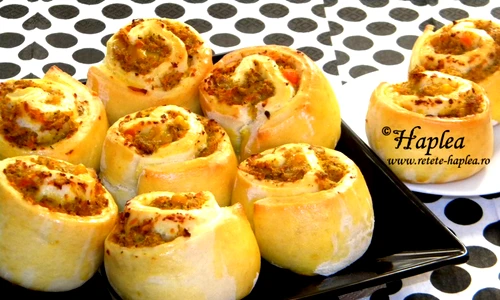 melci cu carne tocata poza 12 jpeg