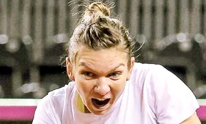 26 sport amr 4390 halep mare jpeg