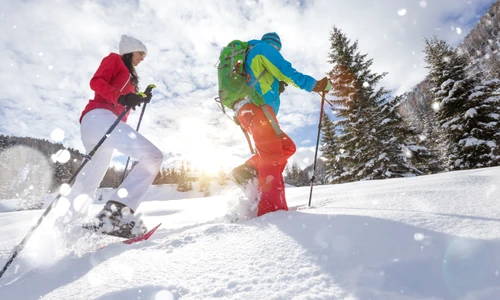 shutterstock 1279921384 jpg