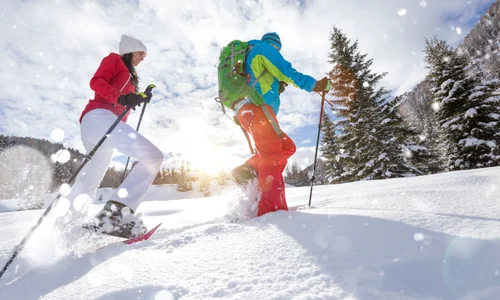 shutterstock 1279921384 jpg