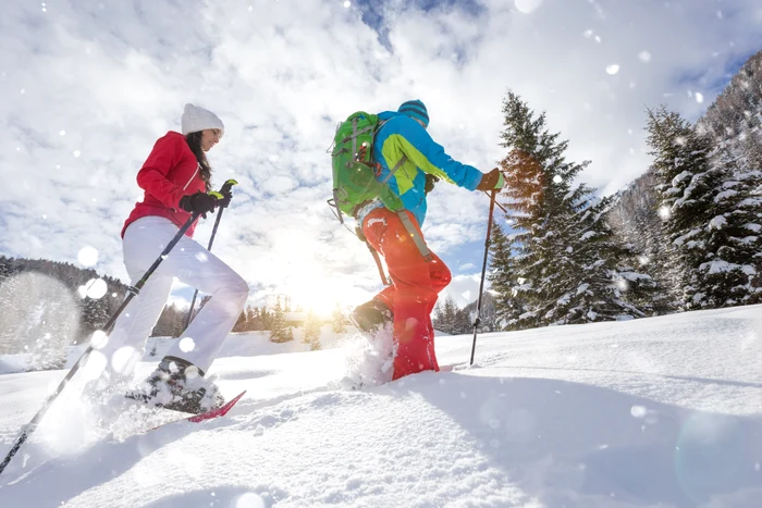 shutterstock 1279921384 jpg