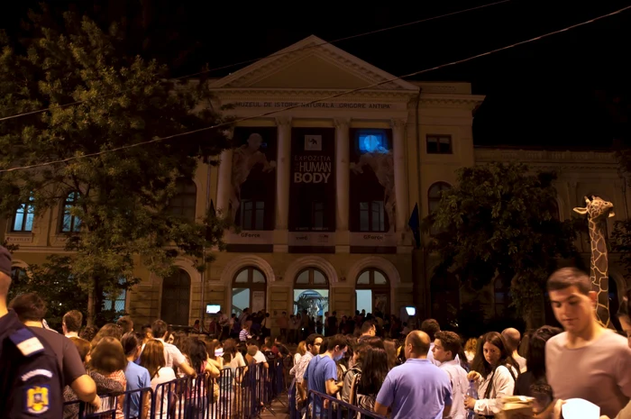 Cele două cozi de la intrarea Muzeului Antipa erau despărţite de un spaţiu destinat vizitatorilor care ieşeau din muzeu FOTO: Nelu Roşu