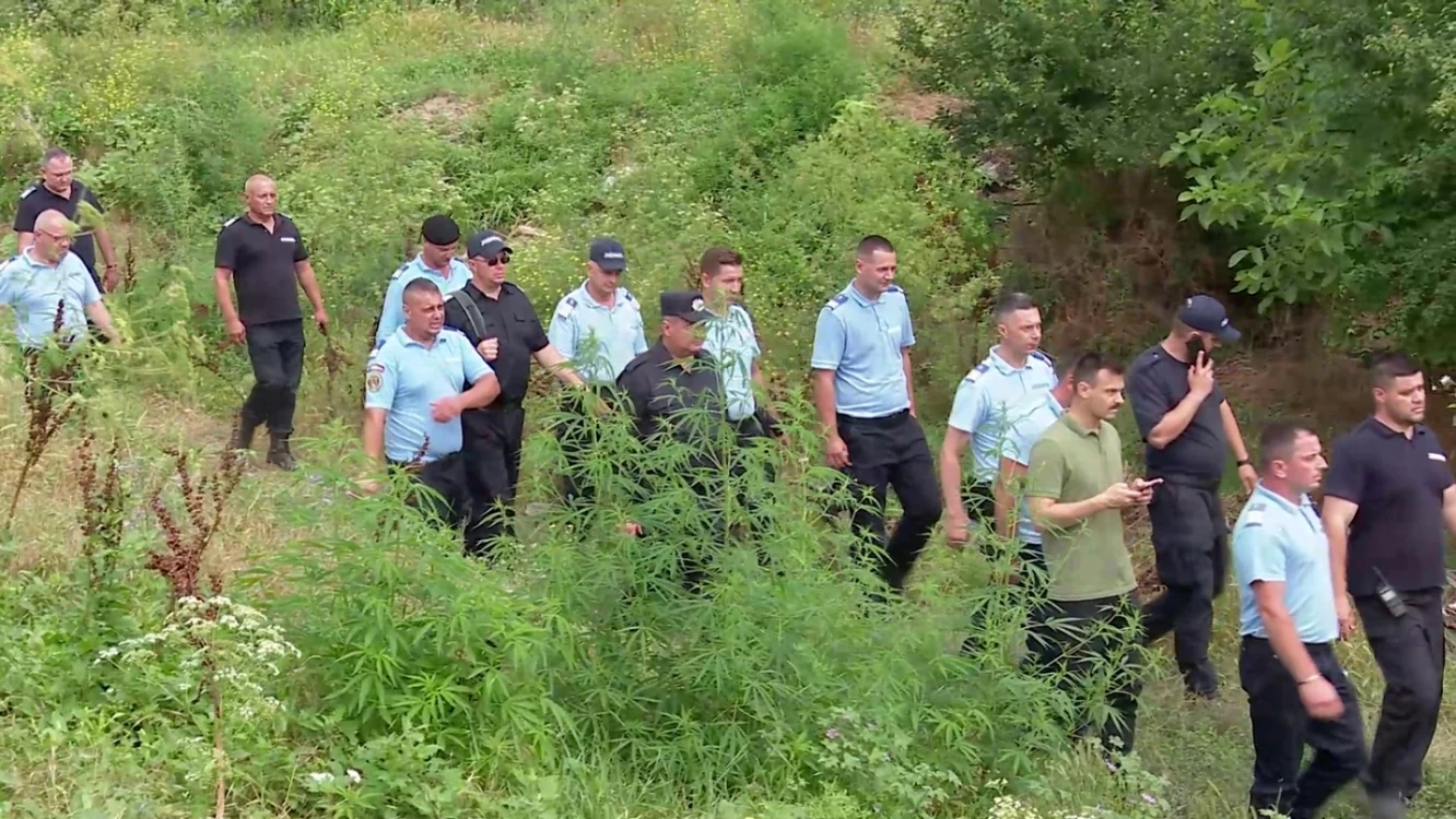 Forţele de ordine l-au găsit rapid pe Nicolas în albia pârâului din vecinătatea casei FOTO arhivă Adevărul